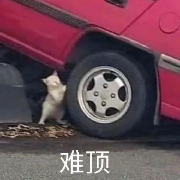 猫咪撑着车,难顶-i表情表情包