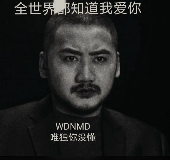 全世界都知道我爱你,唯独你没懂wdnmd(我d你妈的-i表情表情包