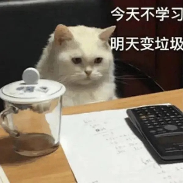 猫咪今天不学习明天变垃圾