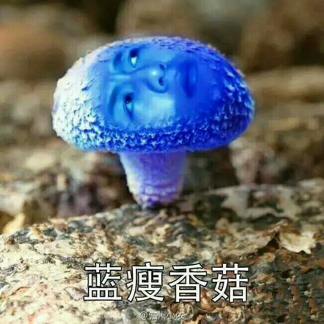 蓝瘦香菇,难受想哭