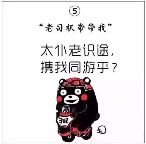 熊本熊老司机带带我携我同游乎