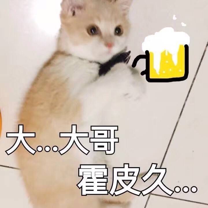 可怜的小猫咪端着啤酒:大.大哥.霍皮久,喝啤酒-i表情表情包